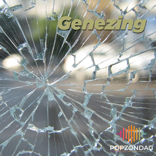 2 Kon 4:19-21 en 32-37 | Psalm 142 | Marcus 1:29-39 | Genezing